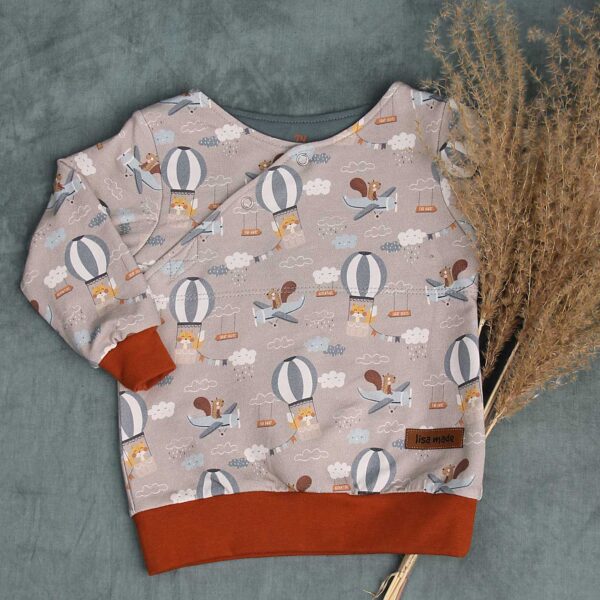 Sweater mit Knopfleiste Gr. 74
